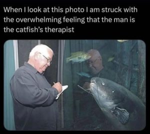 Stupid Bar Memes youresfishings1