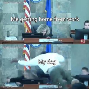 Stupid Bar Memes youresgettingshomesfromswork