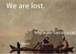 Stupid Bar Memes youresquiet