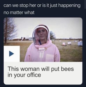 Stupid Bar Memes youresseeingsbees