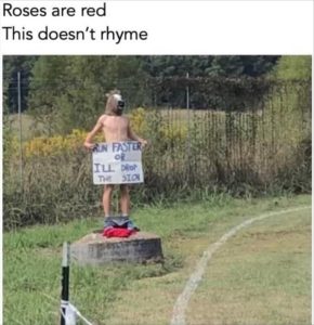 Stupid Bar Memes youresseeingssigns