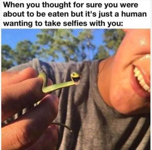 Stupid Bar Memes youresseeingsthessnake