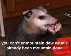 Stupid Bar Memes youreswantingsmountainsdew
