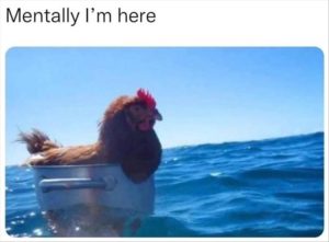 Stupid Bar Memes youreswantingstosbeshere