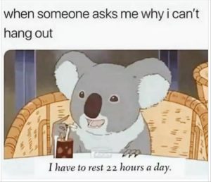 Stupid Bar Memes youreswantingstossleeps1