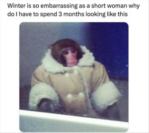 Stupid Bar Memes youreswinters1