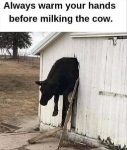 Stupid Bar Memes youswarmingsyourshands