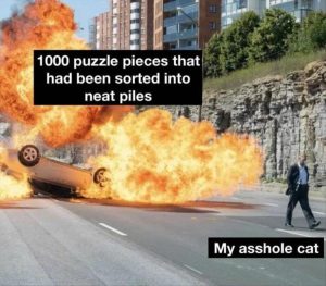 Stupid Bar Memes yzzs35