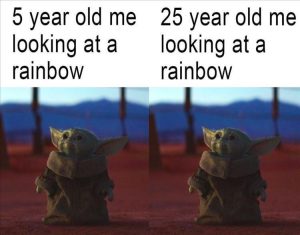 Stupid Bar Memes zsfuns114s4