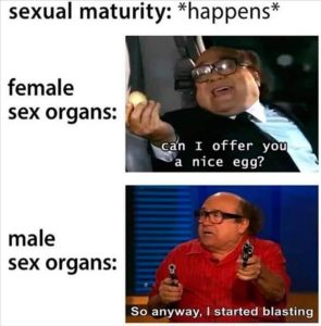 Stupid Bar Memes zsfuns117s2