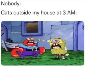Stupid Bar Memes zsfuns118s2