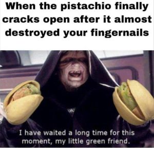 Stupid Bar Memes zsfuns132s4