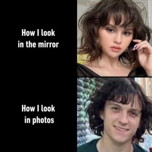 Stupid Bar Memes zsfuns137s2