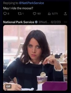 Stupid Bar Memes zsfuns14s3