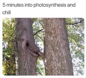 Stupid Bar Memes zsfuns151s3
