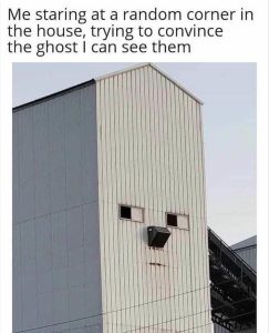 Stupid Bar Memes zsfuns165