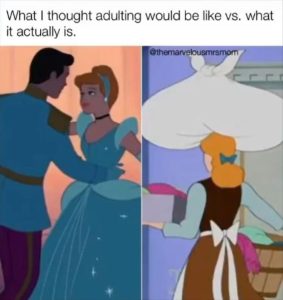 Stupid Bar Memes zsfuns165s4