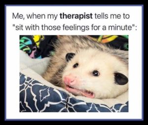 Stupid Bar Memes zsfuns16s1