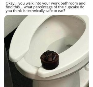 Stupid Bar Memes zsfuns17