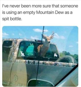 Stupid Bar Memes zsfuns182s3