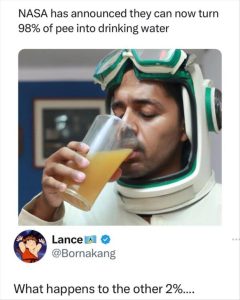 Stupid Bar Memes zsfuns2