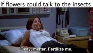 Stupid Bar Memes zsfuns222s3