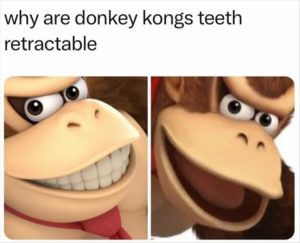 Stupid Bar Memes zsfuns22s3