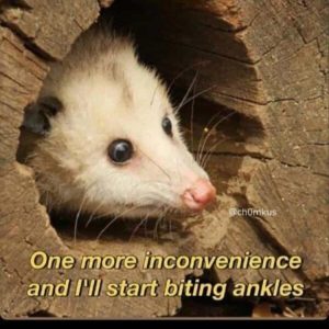 Stupid Bar Memes zsfuns23s3