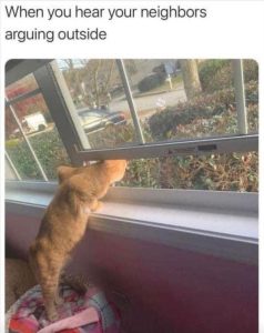 Stupid Bar Memes zsfuns252s2