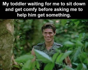 Stupid Bar Memes zsfuns254