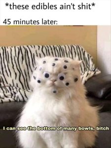 Stupid Bar Memes zsfuns26s2