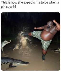 Stupid Bar Memes zsfuns342s1