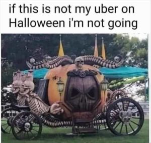 Stupid Bar Memes zsfuns356s1