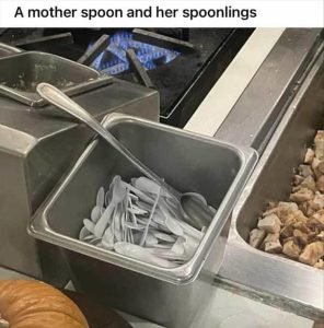 Stupid Bar Memes zsfuns367