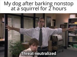Stupid Bar Memes zsfuns368