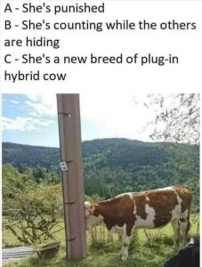 Stupid Bar Memes zsmemes25