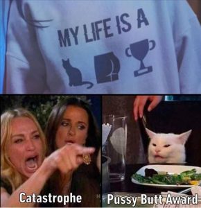 Stupid Bar Memes zsmemes39