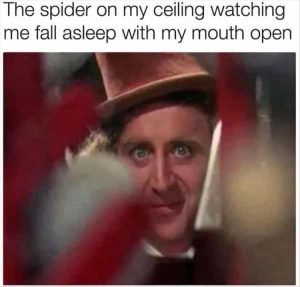 Stupid Bar Memes zsmemes53
