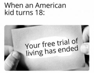 Stupid Bar Memes 026c373dddb44d39