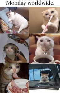 Stupid Bar Memes 07d63f5e4b14e278