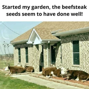 Stupid Bar Memes 082bee600dd2630a