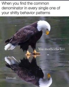 Stupid Bar Memes 0b37b2af33d1f9d0