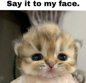 Stupid Bar Memes 0c7c231e20aaee11