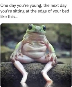 Stupid Bar Memes 0fc9f3b3dba5f03f
