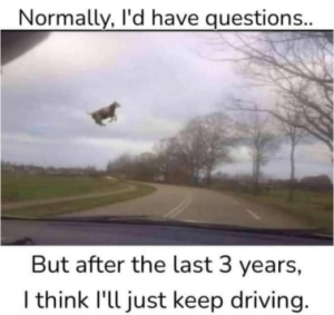 Stupid Bar Memes 158c1a7ca2280ae5