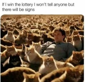 Stupid Bar Memes 169e2f82b193d44d