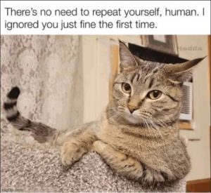Stupid Bar Memes 19fef069d0d76131