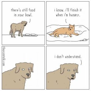 Stupid Bar Memes 1cd6f7e5e58ee45f