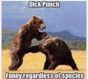 Stupid Bar Memes 1eb10f877782a69c