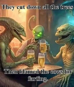 Stupid Bar Memes 20286fd6b57ba8bc